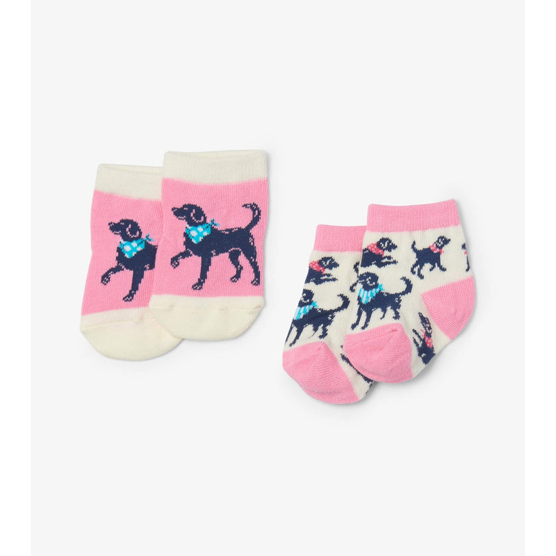 Little Blue House - Bandana Labs 2 Pack Baby Socks