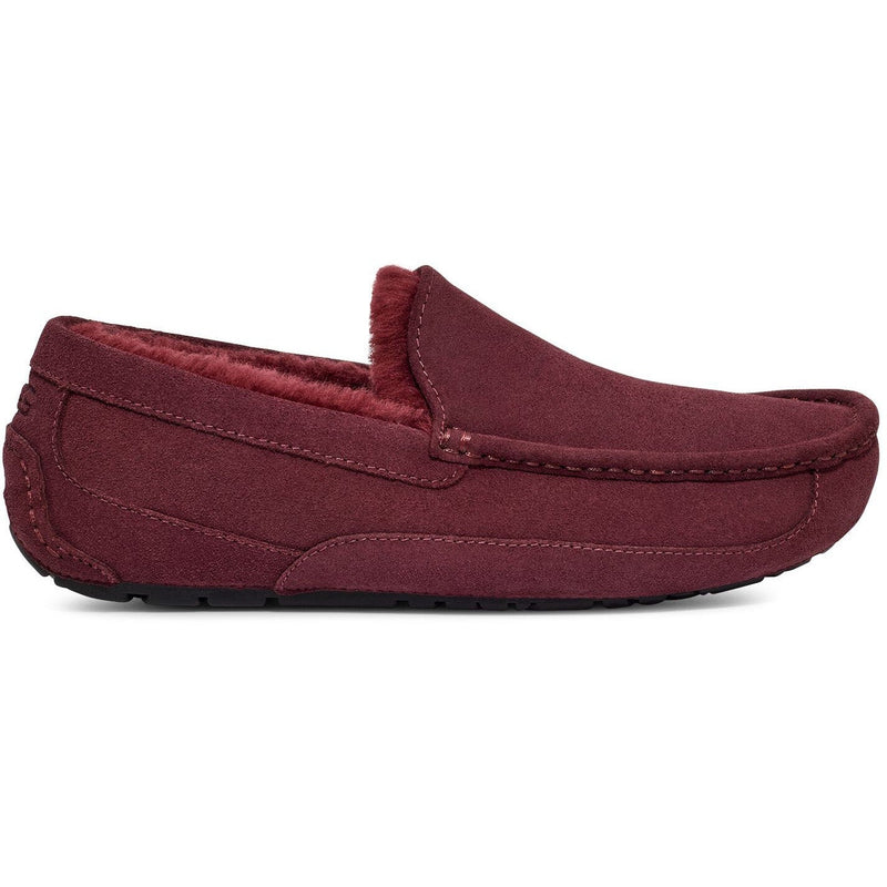 Ugg - Mens Ascot Slipper