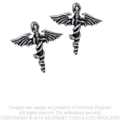 Motley Crue - Unisex Swords Earrings