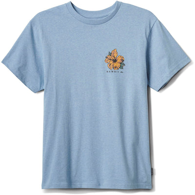 Quiksilver - Mens Hi Garden Mt0 Short Sleeve Graphic T-Shirt — Ashley Blue Heather