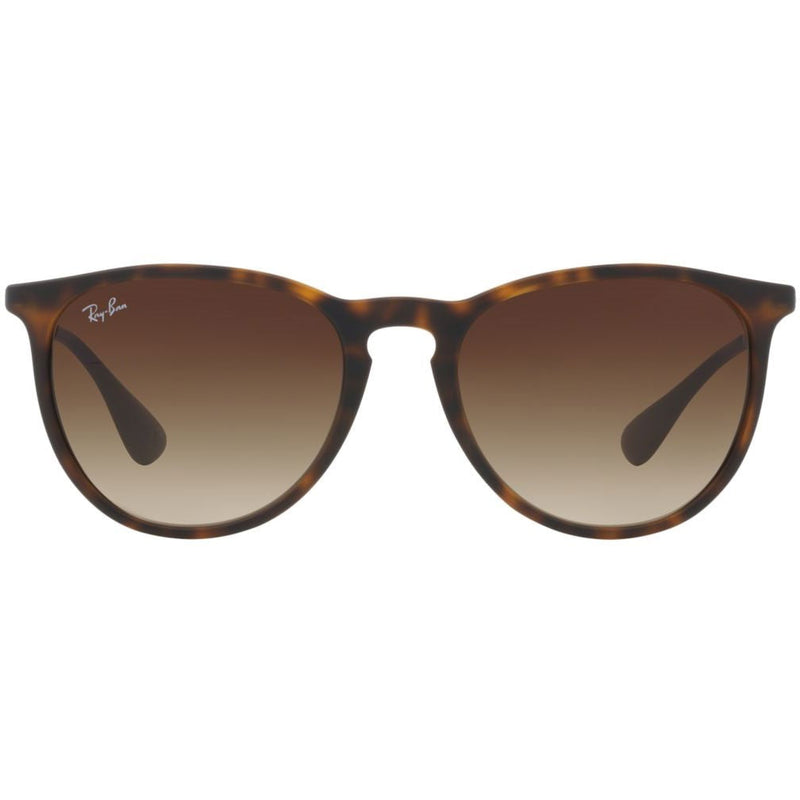 Ray-Ban - Mens Injected Sunglasses in Brown Rubber