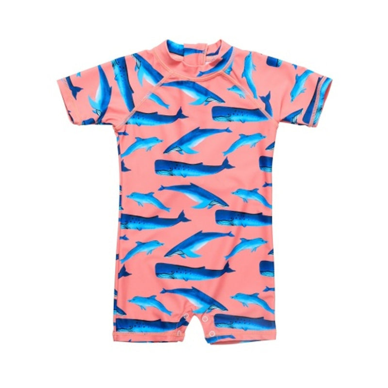 Snapper Rock - Boys Whale Tail Short Sleeve Sunsuit