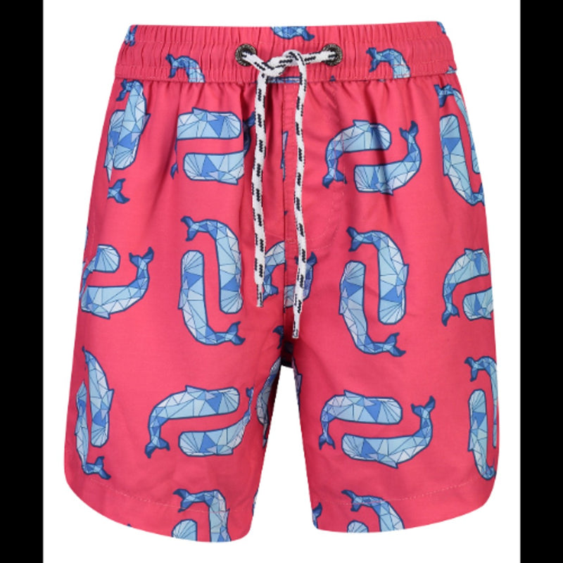 Snapper Rock - Boys Geo Whale Boardies