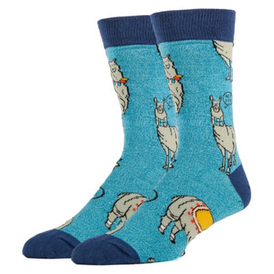 Oooh Yeah - Mens Crew-Ya Llama Boo