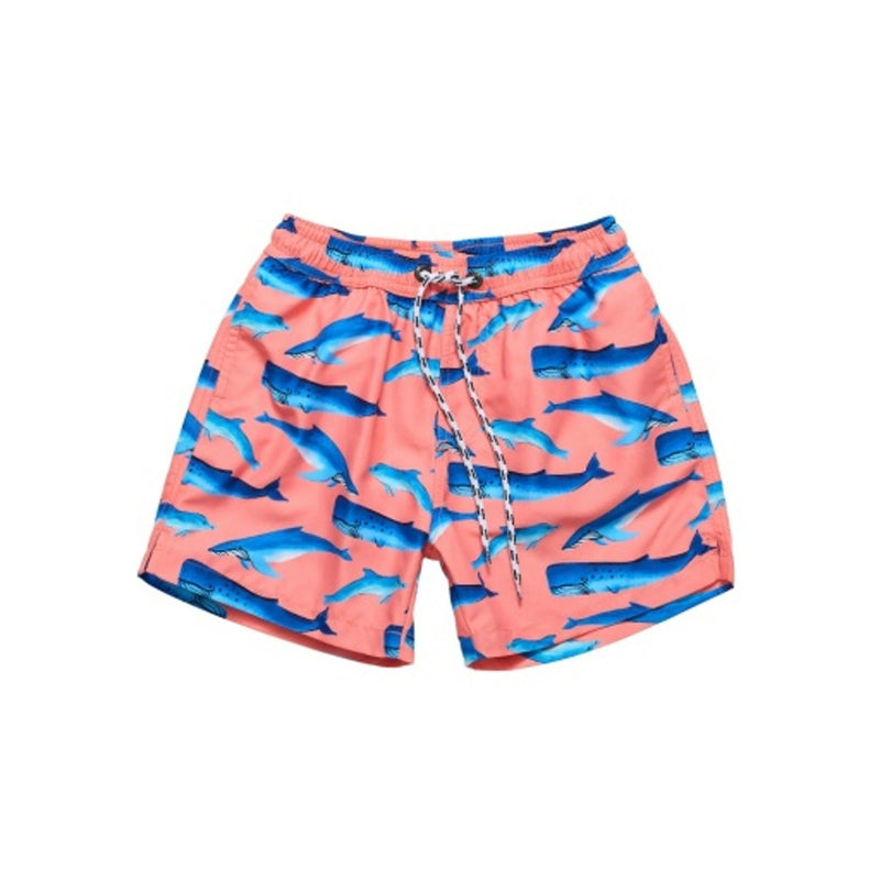 Snapper Rock - Boys Whale Tail Swim Short