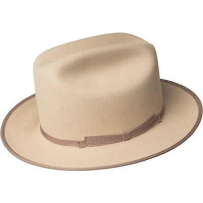 Bailey 1922 - Mens the Architect