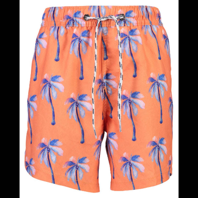 Snapper Rock - Boys Sunset Moorings Palm Boardies