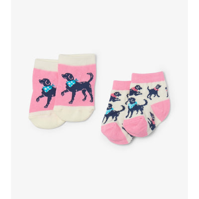Little Blue House - Bandana Labs 2 Pack Baby Socks