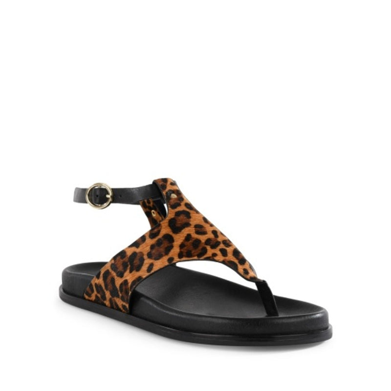 Seychelles Footwear - Womens in the Zone