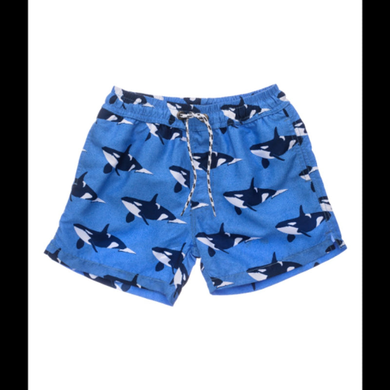 Snapper Rock - Boys Orca Ocean Volley Board Short