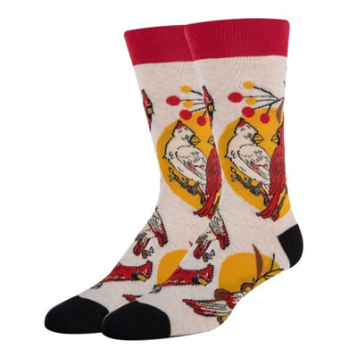 Oooh Yeah - Mens Always Cardinal-Mens Crew Socks