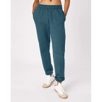 Hanes - Mens Sport Ultimate Men's Fleece Joggers 32