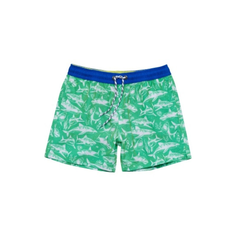 Snapper Rock - Boys Between the Fins Swim Short