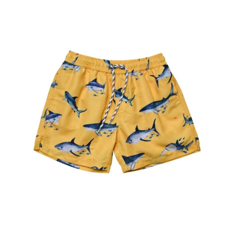 Snapper Rock - Boys Sunrise Shark Volley Board Short