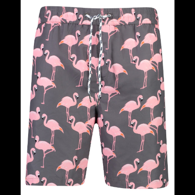 Snapper Rock - Mens Flamingo Social Boardies