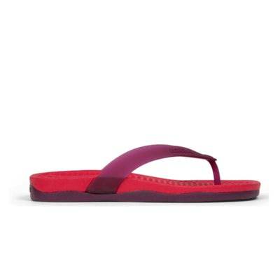 Native Shoes - Unisex Paolo Wanderfoam