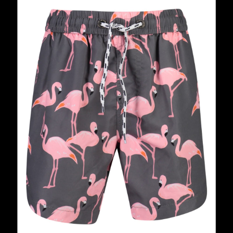 Snapper Rock - Boys Flamingo Social Boardies