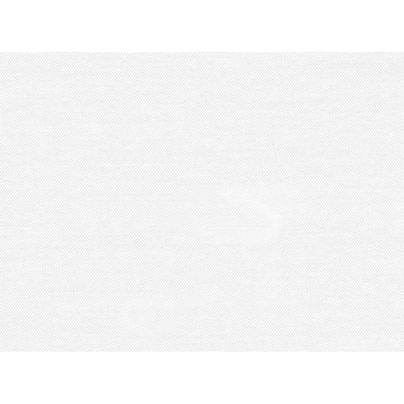 Forsyth of Canada - Mens Long Sleeve Dress Shirt,Spread Collar,Traditional Fit