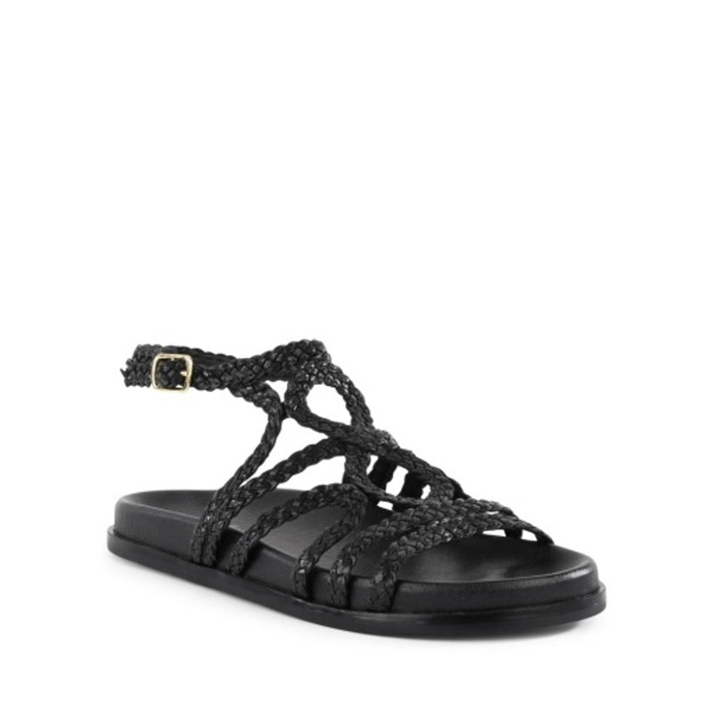 Seychelles Footwear - Womens Sweet Emotion