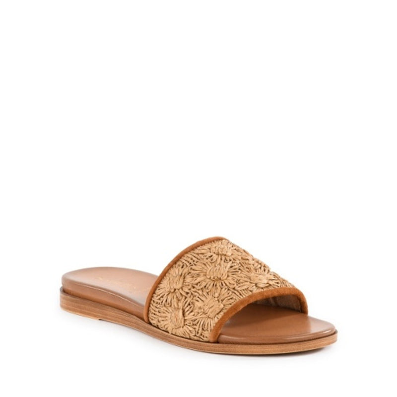 Seychelles Footwear - Womens Dakota Sandals