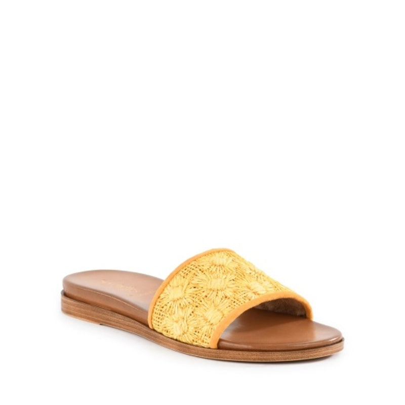 Seychelles Footwear - Womens Dakota Sandals